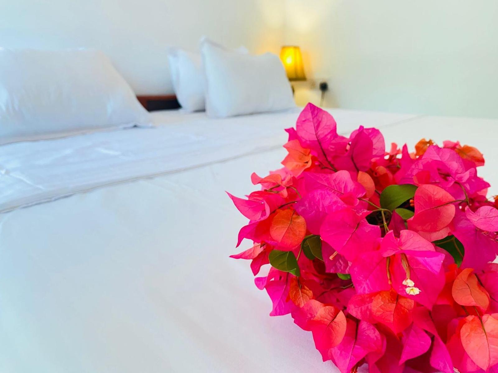 Aaliya Bay Hotel Arugam Bay Luaran gambar